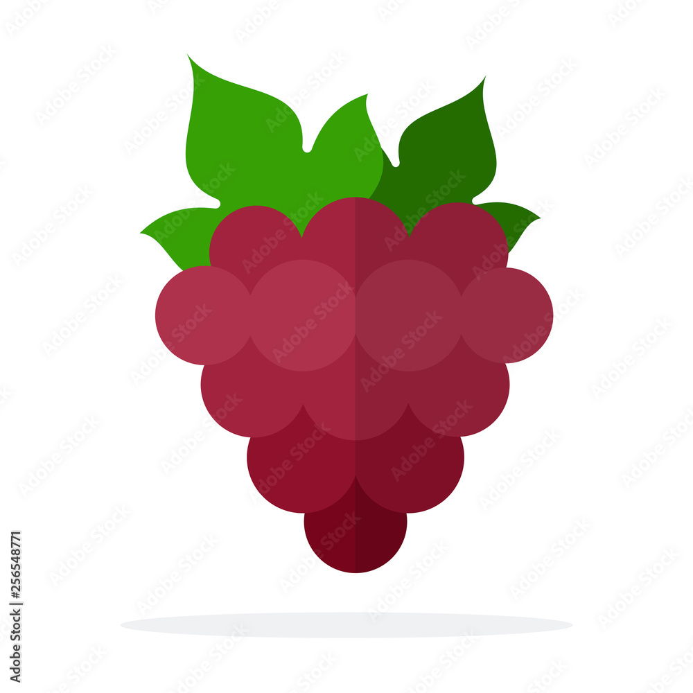 Bunch of red grapes vector flat isolated Bunch of red grapes vector flat isolated