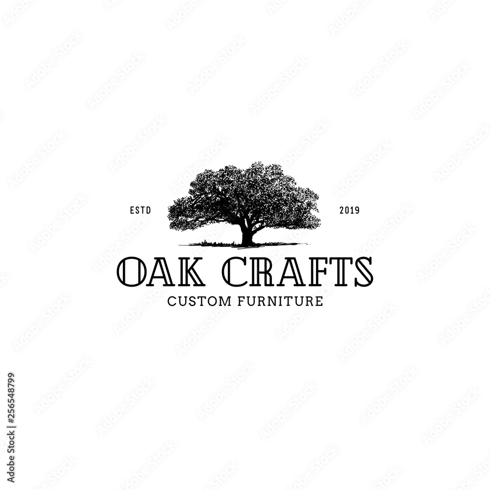 Vector tree illustration. Hand drawn style tree. Tree label, logo, nature, eco, green, organic, outdoors design.