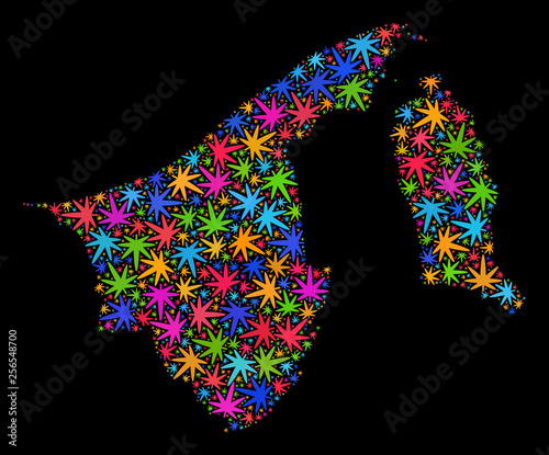 Bright vector marijuana Brunei map mosaic on a black background. Concept with colorful weed leaves for weed legalize campaign. Vector Brunei map is formed with weed leaves.
