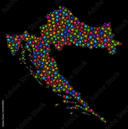 Bright vector cannabis Croatia map mosaic on a black background. Template with multi-colored herbal leaves for cannabis legalize campaign. Vector Croatia map is organized from herbal leaves.