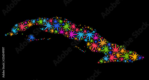 Bright vector cannabis Cuba map collage on a black background. Concept with bright herbal leaves for weed legalize campaign. Vector Cuba map is organized with cannabis leaves.