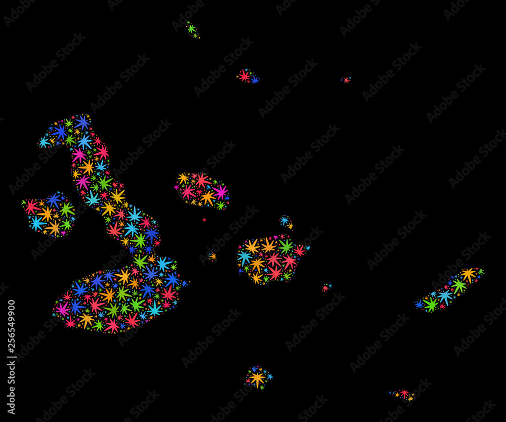 Bright vector marijuana Galapagos Islands map mosaic on a black background. Concept with bright weed leaves for hemp legalize campaign. Vector Galapagos Islands map is composed with cannabis leaves.