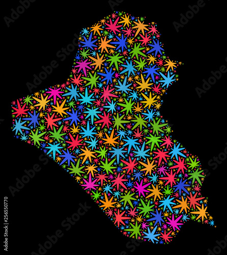 Bright vector marijuana Iraq map mosaic on a black background. Template with bright weed leaves for weed legalize campaign. Vector Iraq map is designed from weed leaves.
