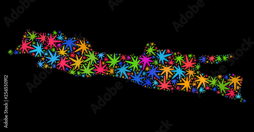Bright vector cannabis Java Island map mosaic on a black background. Concept with colored herbal leaves for cannabis legalize campaign. Vector Java Island map is designed with weed leaves.