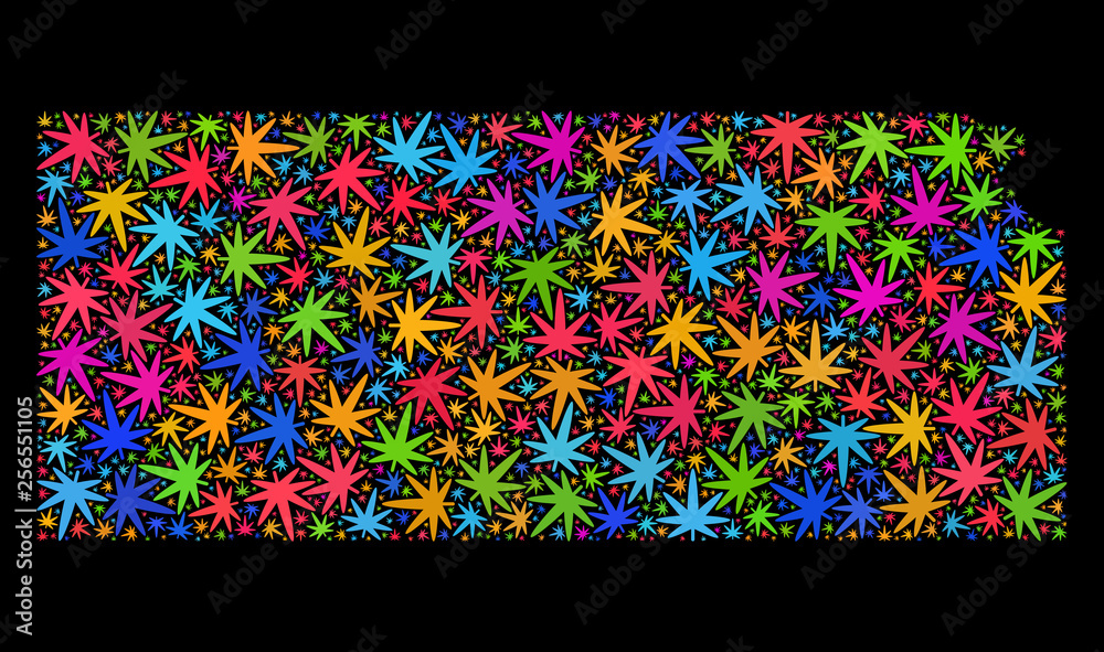 Bright vector cannabis Kansas State map collage on a black background. Concept with bright weed leaves for hemp legalize campaign. Vector Kansas State map is constructed with weed leaves.
