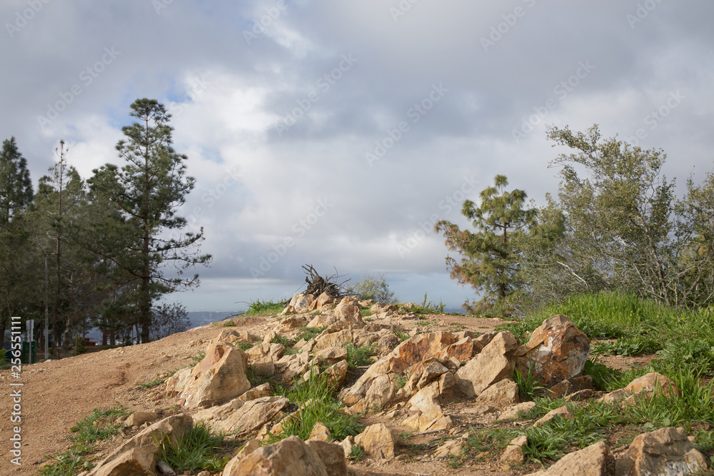 Rocks on trail