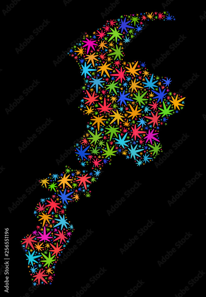 Bright vector cannabis Khyber Pakhtunkhwa Province map mosaic on a black background. Template with multi-colored weed leaves for marijuana legalize campaign.