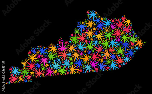 Bright vector cannabis Kentucky State map mosaic on a black background. Concept with bright weed leaves for cannabis legalize campaign. Vector Kentucky State map is designed with marijuana leaves.