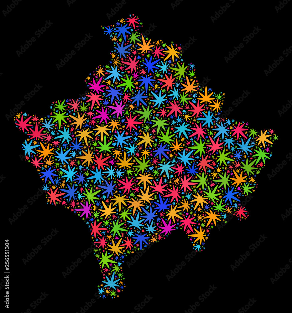 Bright vector cannabis Kosovo map collage on a black background. Template with multi-colored herbal leaves for marijuana legalize campaign. Vector Kosovo map is formed with cannabis leaves.