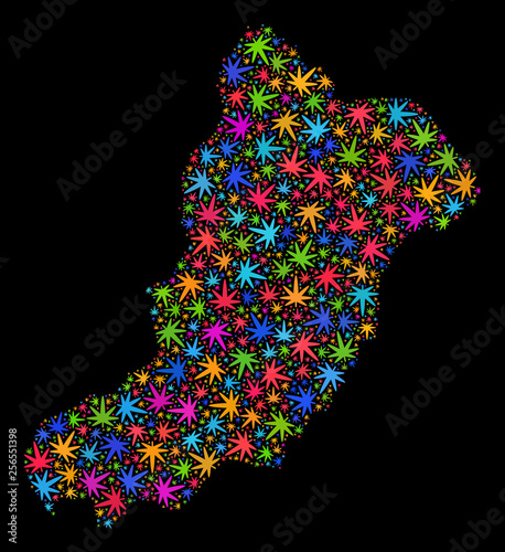 Bright vector marijuana La Graciosa Island map mosaic on a black background. Template with colored herbal leaves for marijuana legalize campaign.