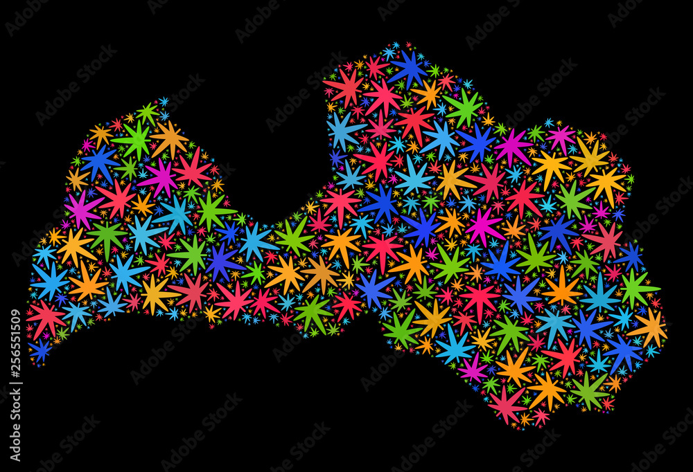 Bright vector cannabis Latvia map collage on a black background. Template with bright weed leaves for cannabis legalize campaign. Vector Latvia map is organized with weed leaves.