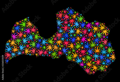Bright vector cannabis Latvia map collage on a black background. Template with bright weed leaves for cannabis legalize campaign. Vector Latvia map is organized with weed leaves.