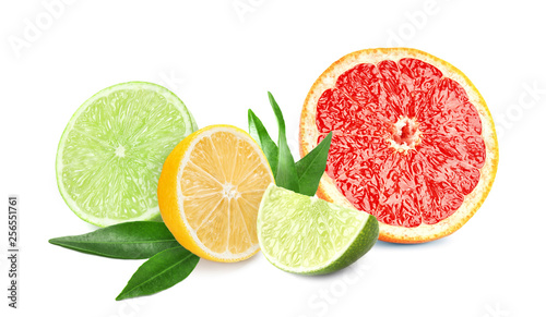 Set of different juicy citrus fruits on white background