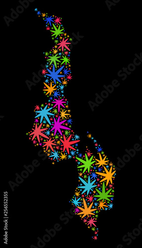 Bright vector cannabis Malawi map collage on a black background. Template with bright weed leaves for cannabis legalize campaign. Vector Malawi map is designed from weed leaves.