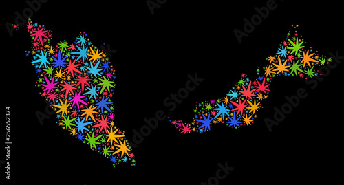 Bright vector cannabis Malaysia map collage on a black background. Template with psychedelic herbal leaves for cannabis legalize campaign. Vector Malaysia map is created with cannabis leaves.