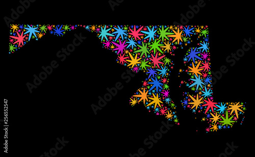 Bright vector cannabis Maryland State map mosaic on a black background. Concept with bright herbal leaves for cannabis legalize campaign. Vector Maryland State map is formed of cannabis leaves.