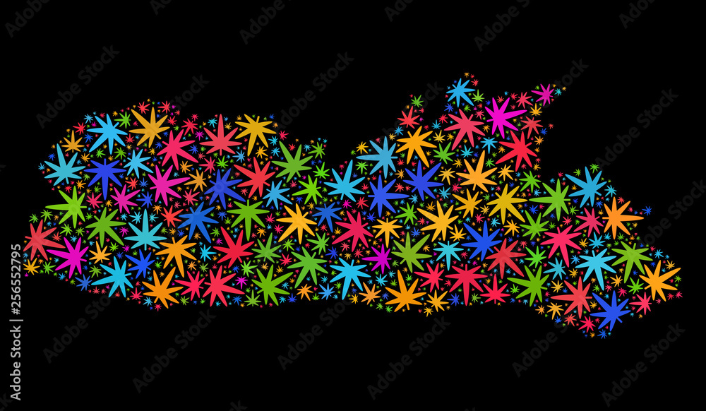 Bright vector cannabis Meghalaya State map collage on a black background. Template with bright weed leaves for cannabis legalize campaign. Vector Meghalaya State map is constructed with herbal leaves.