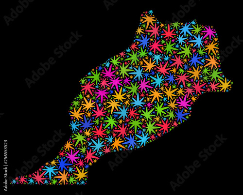 Bright vector marijuana Morocco map mosaic on a black background. Concept with colored weed leaves for marijuana legalize campaign. Vector Morocco map is composed with cannabis leaves.
