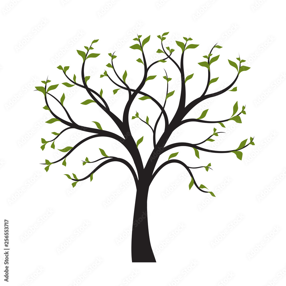 Green Tree with leaves on white background. Vector Illustration. Green Tree with leaves on white background. Vector Illustration.