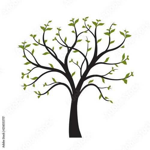 Green Tree with leaves on white background. Vector Illustration.