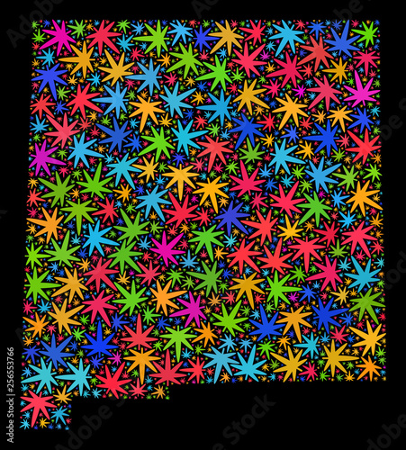 Bright vector cannabis New Mexico State map mosaic on a black background. Template with bright weed leaves for weed legalize campaign. Vector New Mexico State map is constructed with weed leaves.