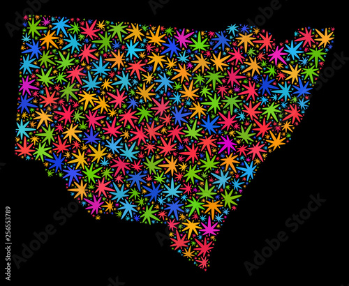 Bright vector marijuana New South Wales map collage on a black background. Template with bright herbal leaves for marijuana legalize campaign. Vector New South Wales map is composed of herbal leaves.