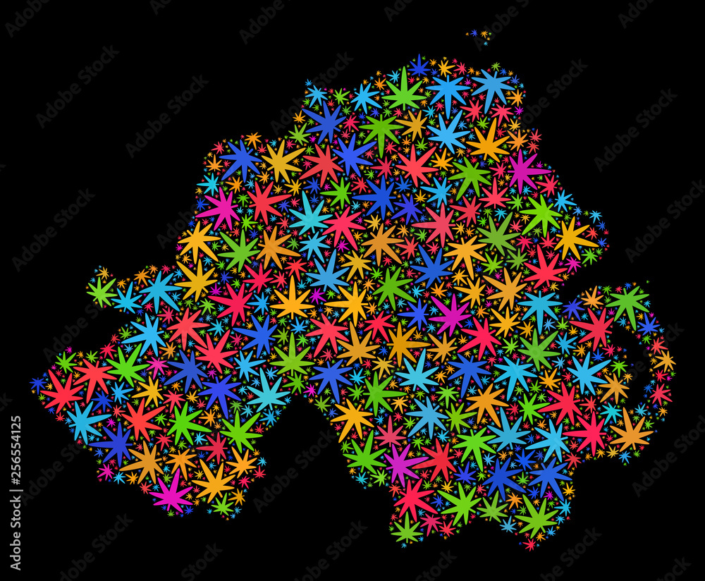 Bright vector cannabis Northern Ireland map mosaic on a black background. Template with colorful weed leaves for cannabis legalize campaign. Vector Northern Ireland map is organized from weed leaves.