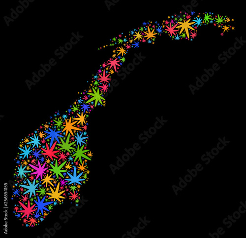 Bright vector marijuana Norway map mosaic on a black background. Template with psychedelic herbal leaves for marijuana legalize campaign. Vector Norway map is composed of herbal leaves.