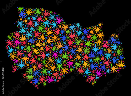 Bright vector cannabis Novosibirsk Region map collage on a black background. Template with colored weed leaves for cannabis legalize campaign. Vector Novosibirsk Region map is formed with weed leaves.