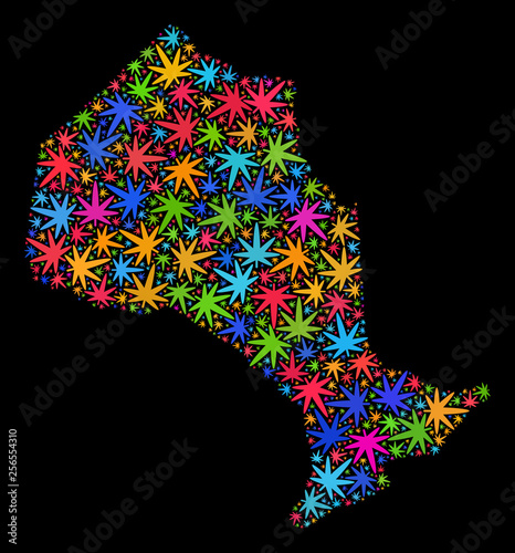 Bright vector marijuana Ontario Province map mosaic on a black background. Concept with colorful herbal leaves for marijuana legalize campaign.