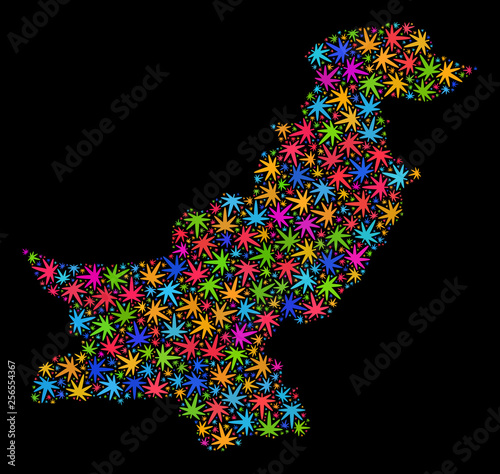 Bright vector marijuana Pakistan map collage on a black background. Template with colored herbal leaves for marijuana legalize campaign. Vector Pakistan map is composed with marijuana leaves.
