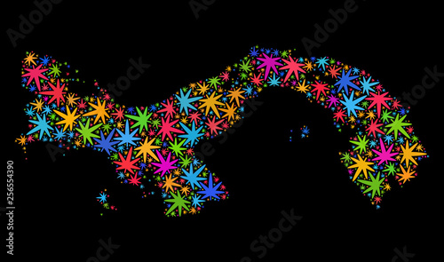 Bright vector cannabis Panama map mosaic on a black background. Template with colored weed leaves for cannabis legalize campaign. Vector Panama map is organized with marijuana leaves.