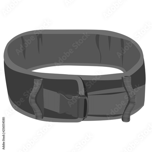 Fotografija Illustration of a gait belt