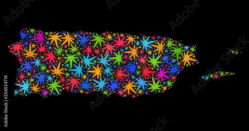 Bright vector cannabis Puerto Rico map mosaic on a black background. Template with colored weed leaves for weed legalize campaign. Vector Puerto Rico map is composed with cannabis leaves.