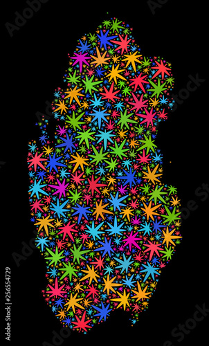 Bright vector cannabis Qatar map mosaic on a black background. Concept with bright herbal leaves for weed legalize campaign. Vector Qatar map is composed with cannabis leaves.
