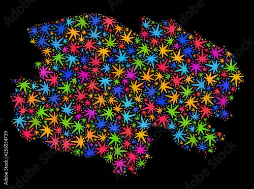 Bright vector marijuana Qinghai Province map mosaic on a black background. Concept with bright weed leaves for cannabis legalize campaign. Vector Qinghai Province map is organized with weed leaves.