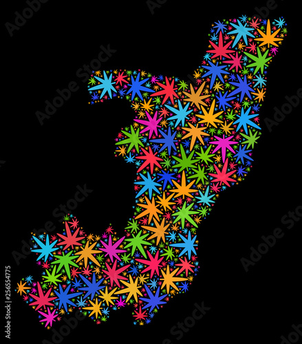 Bright vector marijuana Republic of the Congo map mosaic on a black background. Concept with bright herbal leaves for weed legalize campaign.