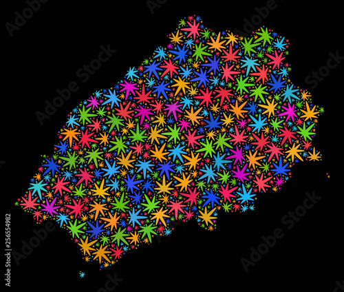 Bright vector cannabis Saint Helena Island map mosaic on a black background. Template with multi-colored herbal leaves for marijuana legalize campaign.