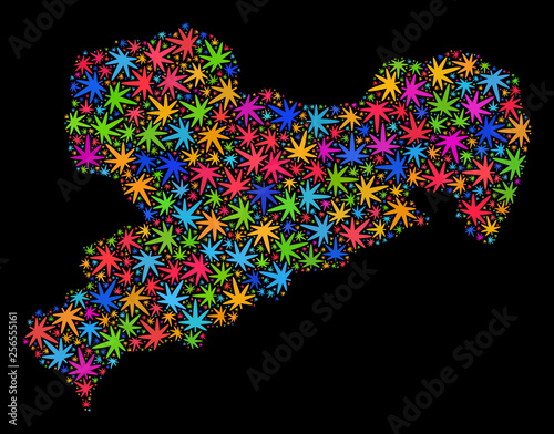 Bright vector cannabis Saxony Land map mosaic on a black background. Concept with bright herbal leaves for weed legalize campaign. Vector Saxony Land map is composed of cannabis leaves.