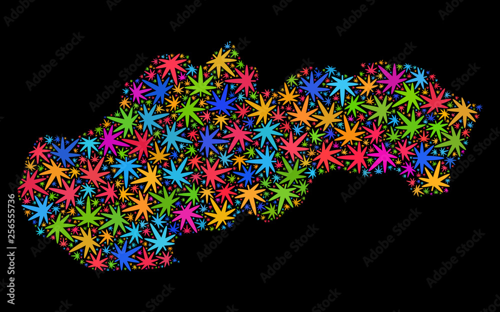 Bright vector marijuana Slovakia map mosaic on a black background. Template with bright herbal leaves for weed legalize campaign. Vector Slovakia map is created with weed leaves.