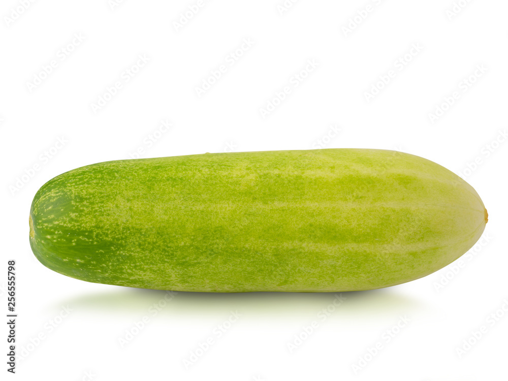 Fresh cucumber on white background. (clipping path)