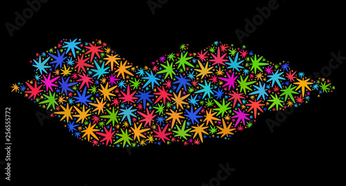 Bright vector cannabis Socotra Island map mosaic on a black background. Concept with multi-colored herbal leaves for hemp legalize campaign.