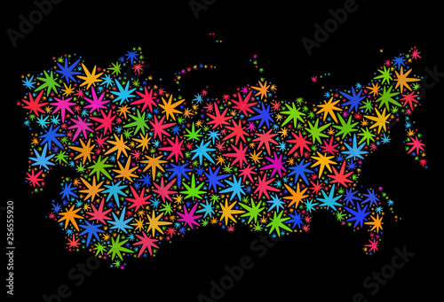 Bright vector cannabis Soviet Union map collage on a black background. Concept with colorful weed leaves for weed legalize campaign. Vector Soviet Union map is constructed of weed leaves.