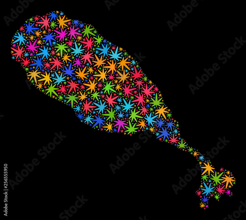 Bright vector cannabis St Kitts Island map mosaic on a black background. Concept with bright weed leaves for weed legalize campaign. Vector St Kitts Island map is formed from weed leaves.