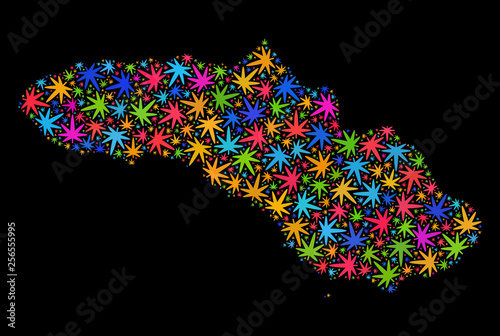 Bright vector marijuana Sumba Island map collage on a black background. Concept with bright weed leaves for marijuana legalize campaign. Vector Sumba Island map is composed from cannabis leaves.