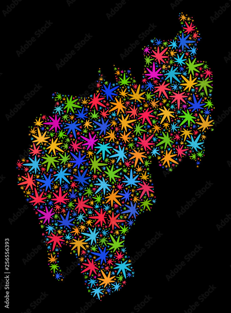 Bright vector marijuana Tripura State map mosaic on a black background. Template with bright herbal leaves for marijuana legalize campaign. Vector Tripura State map is formed with marijuana leaves. Bright vector marijuana Tripura State map mosaic on a black background. Template with bright herbal leaves for marijuana legalize campaign. Vector Tripura State map is formed with marijuana leaves.