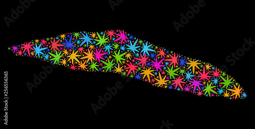 Bright vector marijuana Tortuga Island of Haiti map mosaic on a black background. Template with multi-colored weed leaves for marijuana legalize campaign.