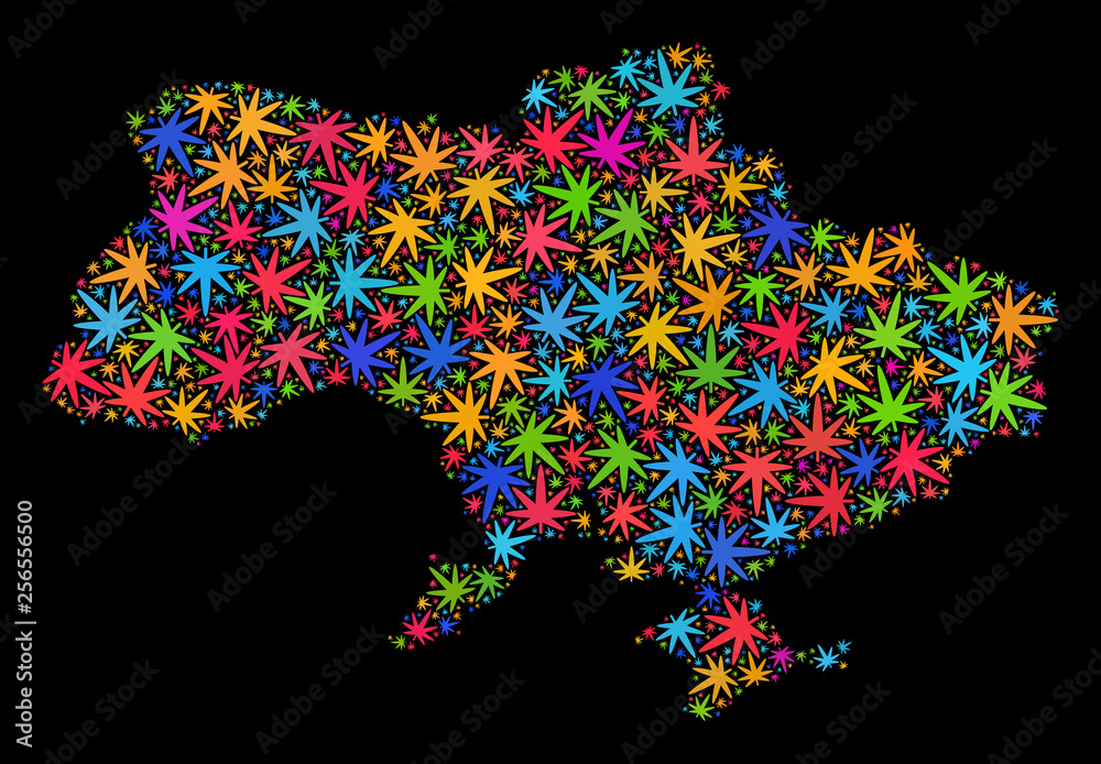 Bright vector marijuana Ukraine map mosaic on a black background. Template with psychedelic weed leaves for weed legalize campaign. Vector Ukraine map is composed with marijuana leaves.