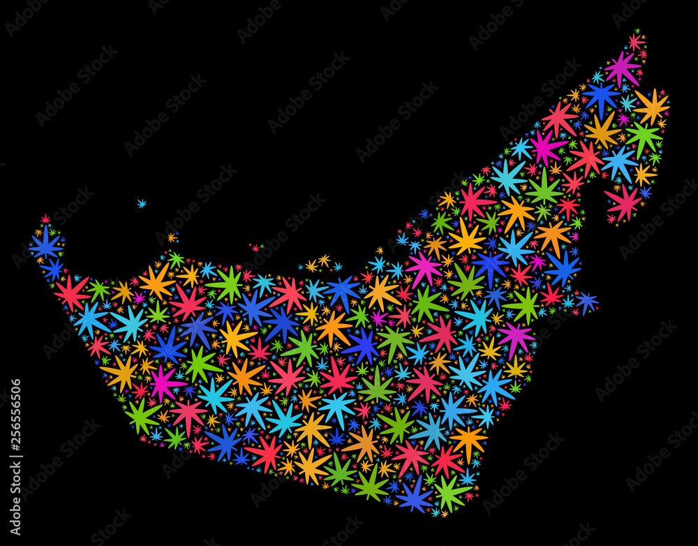 Bright vector cannabis United Arab Emirates map collage on a black background. Template with colorful herbal leaves for marijuana legalize campaign.