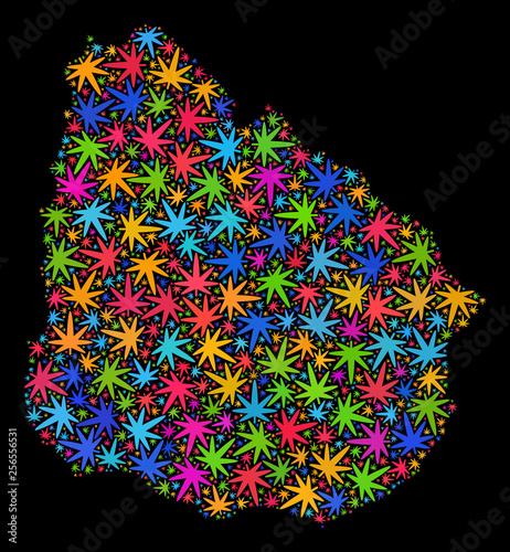 Bright vector cannabis Uruguay map mosaic on a black background. Concept with psychedelic herbal leaves for cannabis legalize campaign. Vector Uruguay map is constructed with herbal leaves.